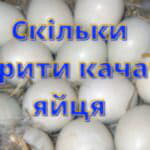 Як готувати закуску з варених яєць