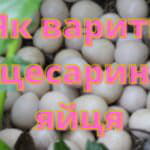 Як і скільки варити качачі яйця